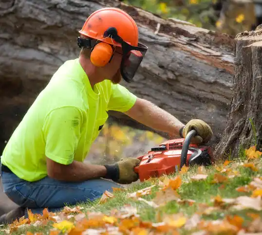 tree services Ava